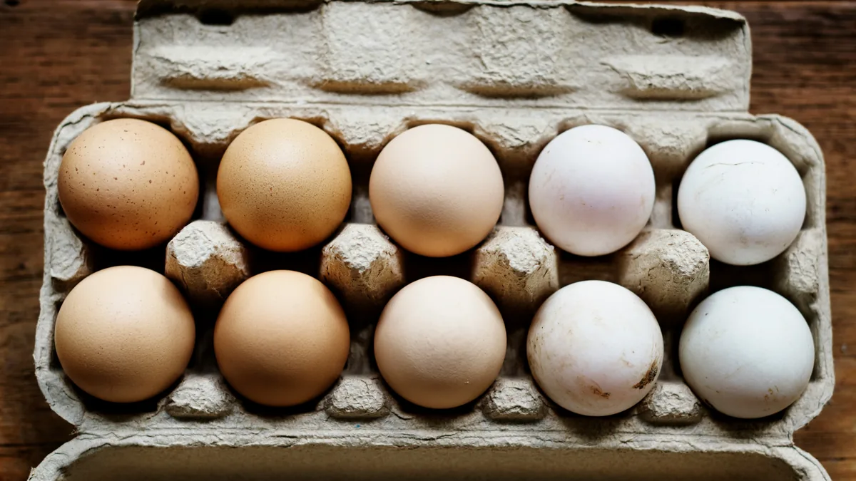 Carton of brown and white eggs – Alderfer non-organic eggs class action