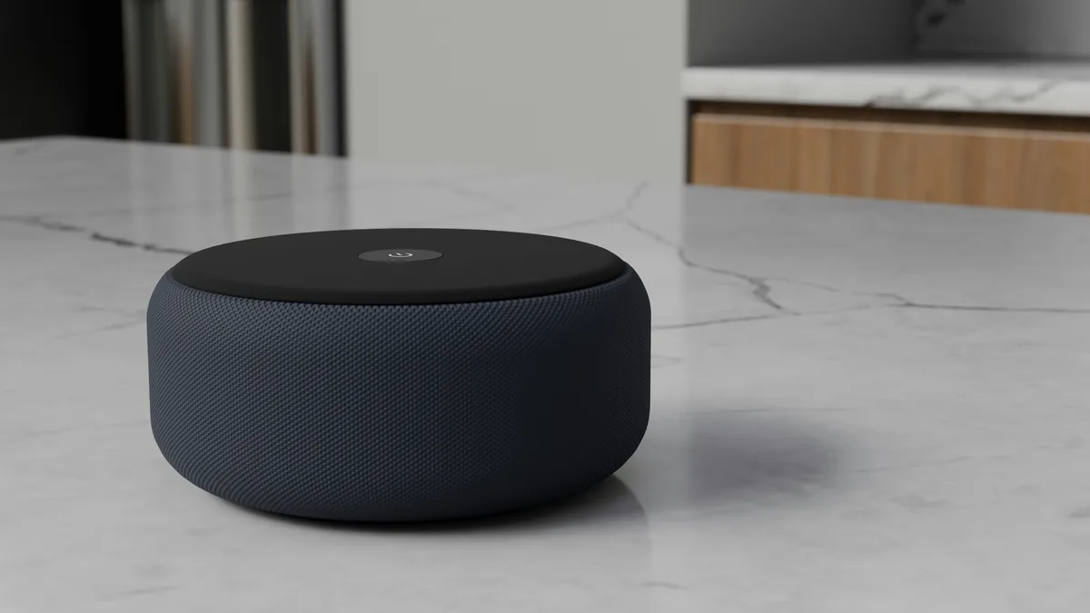 Smart speaker on a marble kitchen counter – Google Assistant privacy class action